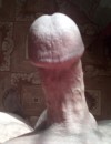 Фотография №3700324